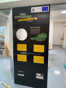 erste Ergebnisse der Beklebung